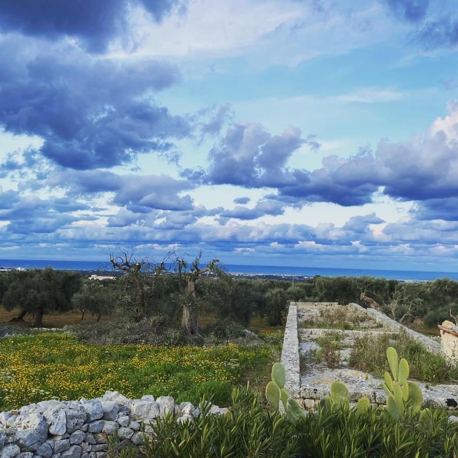 Bed & Breakfast La Guendalina Masseria E Casa Particular