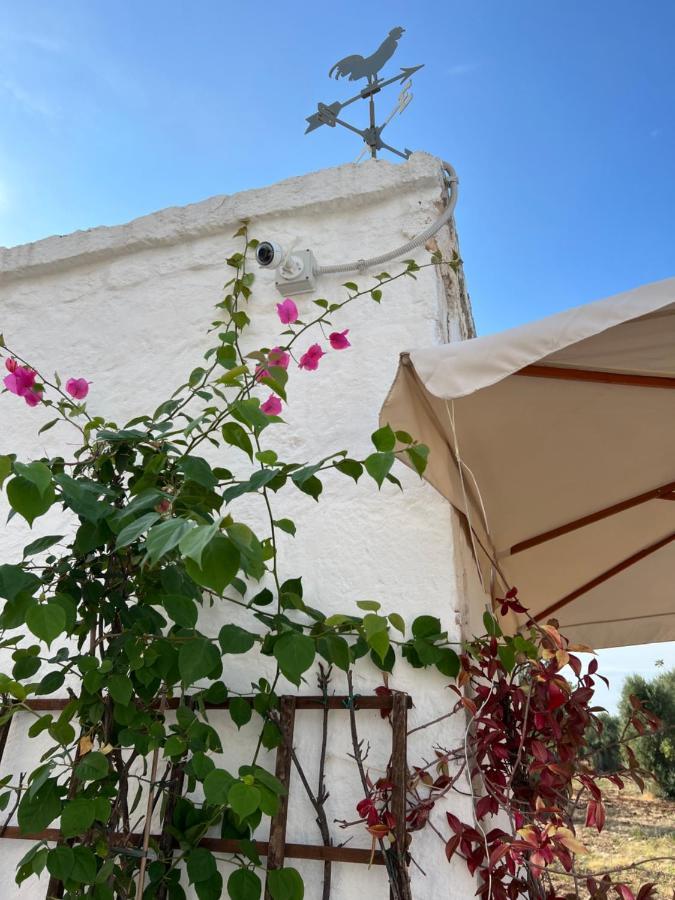 La Guendalina Masseria E Casa Particular Frühstückspension Monopoli